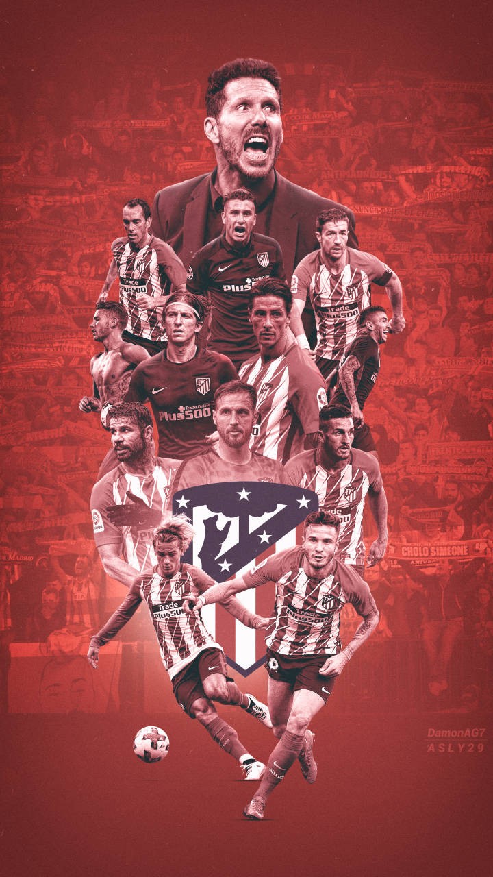 定在有利的 定在有利的